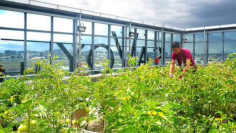 Savoy Hotel Manila promotes mindful stays with sustainability push