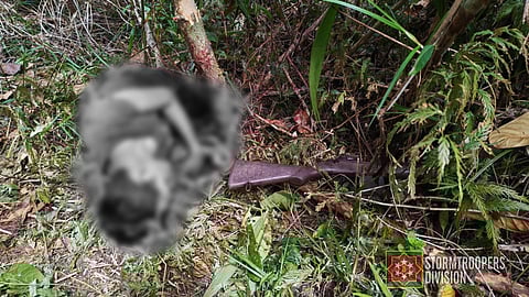 Two communist rebels were killed in a brief clash with the Philippine Army in Motiong, Samar, as troops of the 46th Infantry Battalion intensified operations against the weakened Communist Terrorist Group. Authorities recovered firearms and urged remaining members to surrender under the E-CLIP reintegration program.