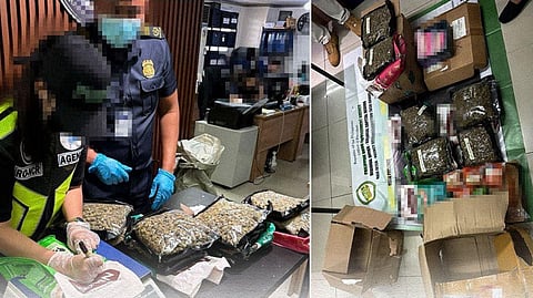 P6.9-M drug parcels intercepted