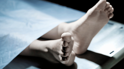 DEAD BODY