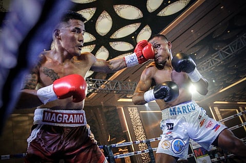 Blow-By-Blow makes rousing return