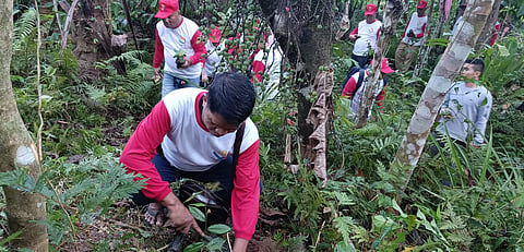 Media workers in Eastern Visayas received their pay as participants of DOLE's TUPAD program. Some 100 media workers planted native trees in a watershed and did a coastal clean up in the city as part of their work.
