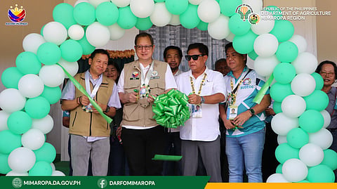 DA Mimaropa opens P40M onion storage facility