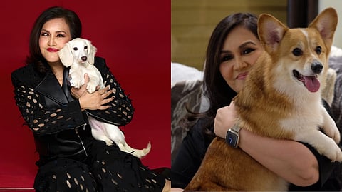 SECRETARY Katrina Ponce Enrile with Willoughby, her long-haired miniature dachshund, ‘who travels with me and sleeps beside me.’ (right) Too cute: ‘Simone, my Corgi, was one of my favorites — she slept with me for over 14 years until she could no longer climb the stairs. She passed last 12 August 2025.’