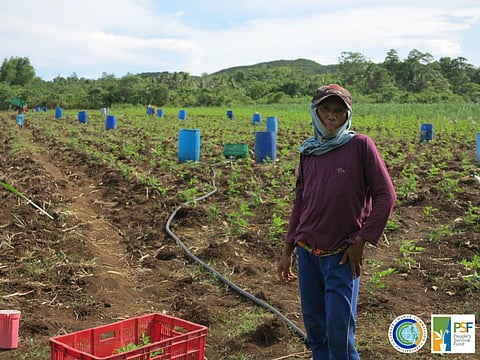 CCC urges LGUs to apply for climate adaptation fund