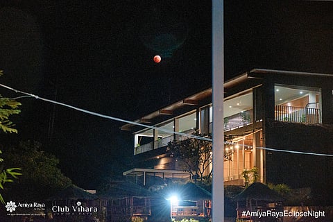 Rare, beautiful, and red, attendees were able to see it, surrounded by the beauty and stillness of
nature