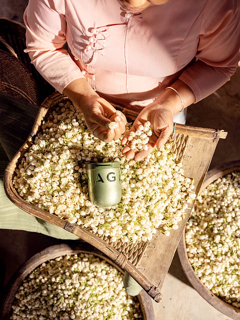 TEA is redefining how a generation approaches wellness and rest.