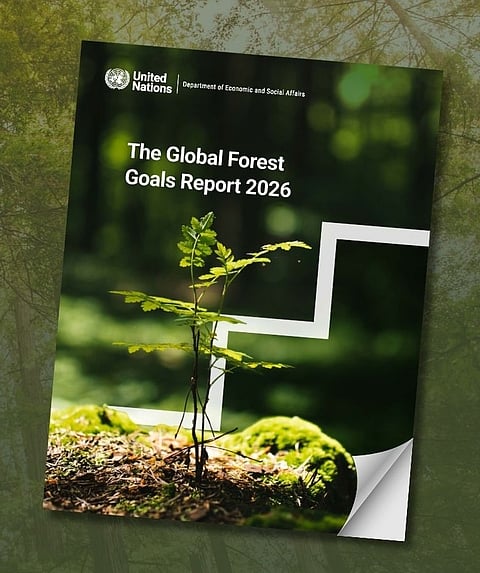 SEVEN of 26 targets are broadly met, 17 are partially achieved, and two are off track in the UN Global Forest Goals Report 2026.