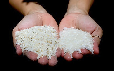 LOCALLY produced rice may soon carry a suggested retail price of P53 per kilo as the government moves to stabilize food prices while safeguarding farmer earnings amid rising inflation pressures.