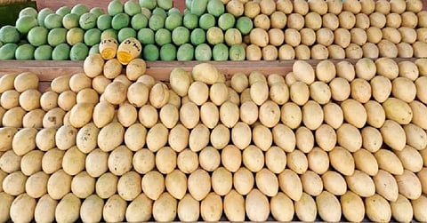 PHLPost, DTI deliver Guimaras mangoes