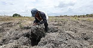 UN warns of possible El Niño comeback