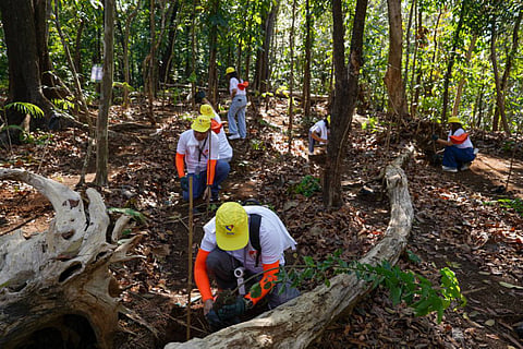 Six foundations of the Razon Group firms signed a memorandum of understanding on 22 May at La Mesa Ecopark in Quezon City, establishing the Razon Group of Foundations as a unified collaboration mechanism. As part of the celebration, Malampaya Foundation turned over forest tree seedlings to Manila Water Foundation, followed by tree-planting to support watershed rehabilitation.