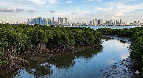 BY 2030, Asia will account for around 75 percent of the global climate
adaptation and resiliency financing gap, and Asian companies are
projected to bear around $336 billion in annual climate costs, according
to the CIIP report.