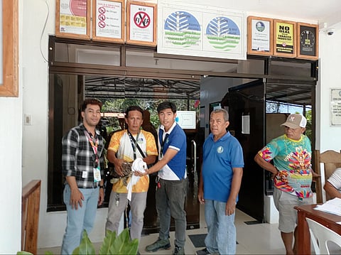 Leyte MENRO Dave Singcol turns over a rescued White Sea Eagle to CENRO oofficials in Ormoc City.