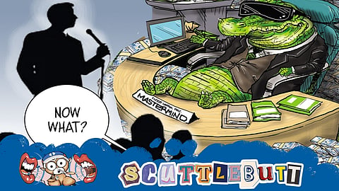 Litmus test for Senate