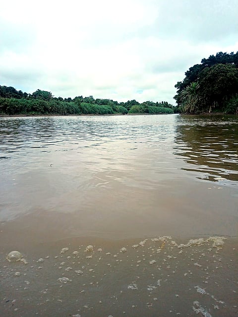 ON top of supporting livelihood, the river traversing the Agusan Marsh Wildlife Sanctuary breaks the isolation of a small Manobo community deep within a protected area by linking it to the outside world.