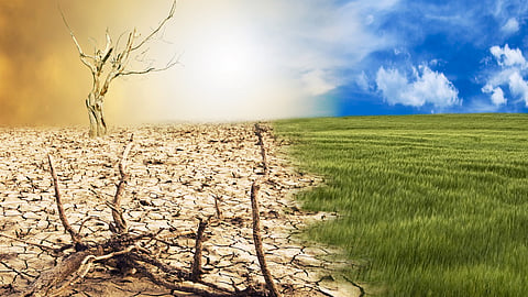 From awareness to execution: Reframing Philippine Environment Month in a climate-altered era