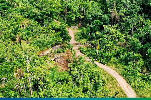 DA PRDP green lights P110M Casiguran FMR