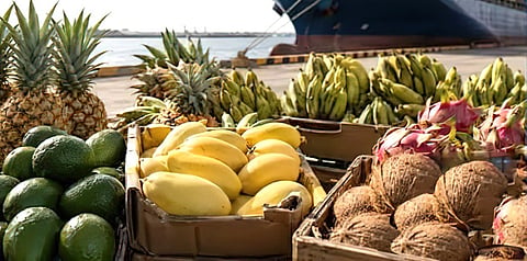 THE Department of Agriculture is leading a massive push to expand global market access for Philippine fruits, establishing a High-Value Exports Crops Office which promotes 15 priority produce, including mangoes, bananas, pineapples, durian and ube which will be among the premium farm products exposed to the world via two major trade exhibitions, Seoul Food 2026 in Seoul, Korea this month and Asia Fruit Logistica in Hong Kong in September.