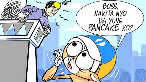 ‘Pancake’ candidate