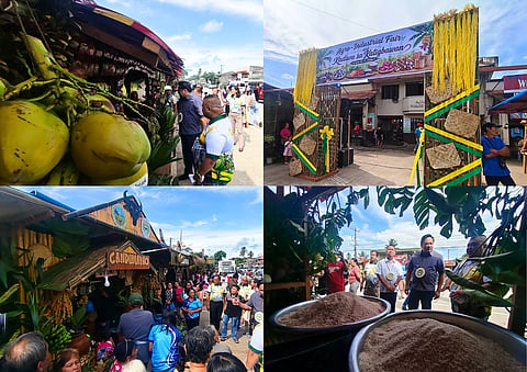 (From left to right) DAR Bohol Provincial Office Head Dr. Ronald Pumatong and DAR Region 7 Director Melvin Castor Silvestre joined Catigbian Mayor Benhie Oliva to officially open the 76th Katigbawan Festival and Farmer's Day Celebration on Monday, June 15 at Catigbian, Bohol. (PHOTO COURTESY of DYRD Tagbilaran Radio).