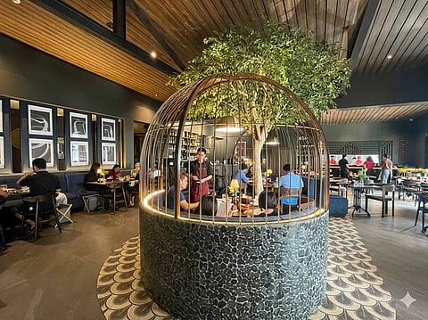 PAT & Pat interiors, featuring bird cage nooks for some privacy and a central tree that gives life to the space.