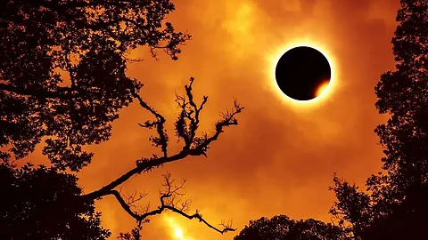 Solar Eclipse August 2