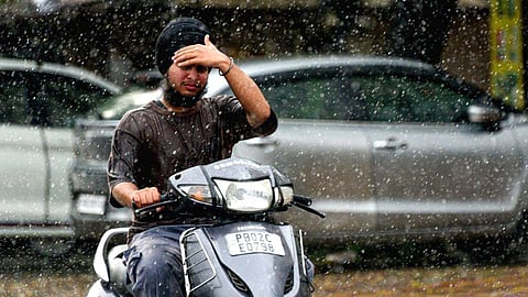 Punjab Rainfall Representative Image