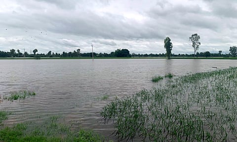 If you want to contribute to Punjab floods, this is the right way – know the details of CM Relief Fund
