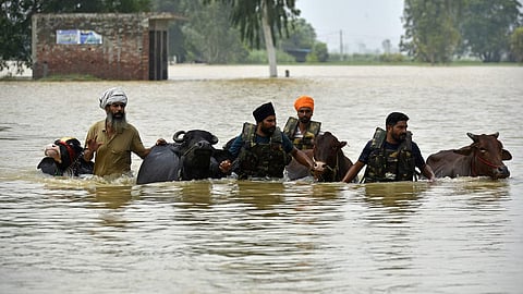 Punjab floods 2025