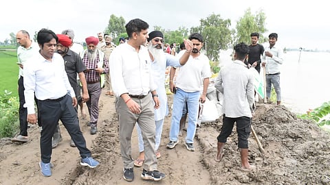 Jalandhar DC
