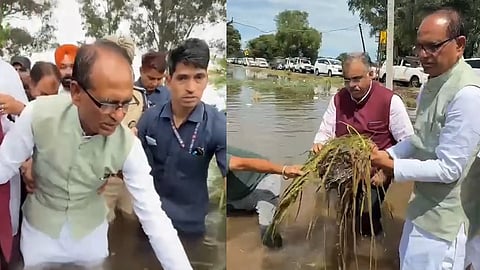 Shivraj Singh Chouhan/Punjab Floods