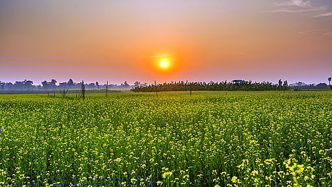 Punjab weather