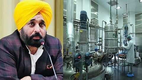 IOL Chemicals Turns Punjab into the Nation’s New ‘Pharma Superpower’