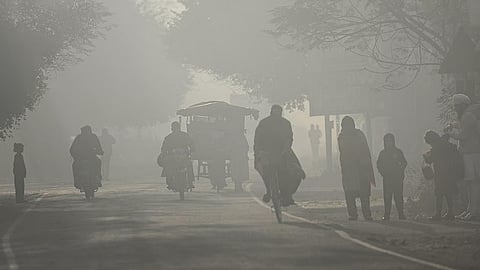 Punjab Winter Representative Image