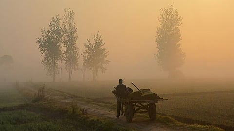 Punjab Winter Representative Image