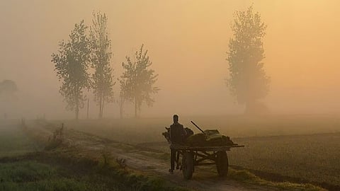 Punjab Winter Representative Image