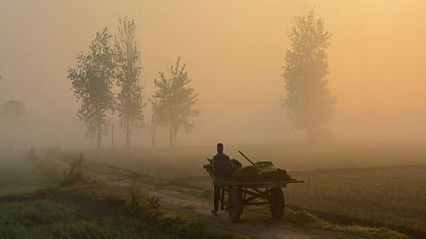 Punjab Winter Representative Image