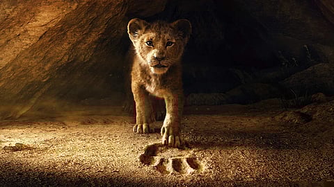 Image from The Lion King movie