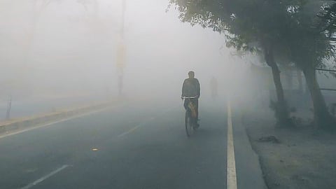 Punjab Winter Representative Image