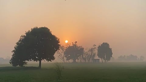 Punjab Winter Warm Morning Representative Image