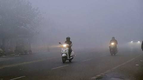 Punjab Winter Representative Image