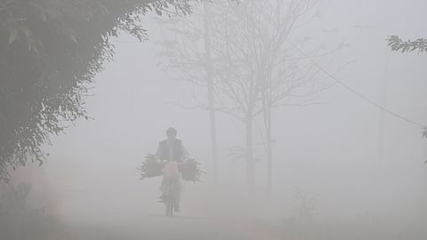 Punjab Winter Representative Image