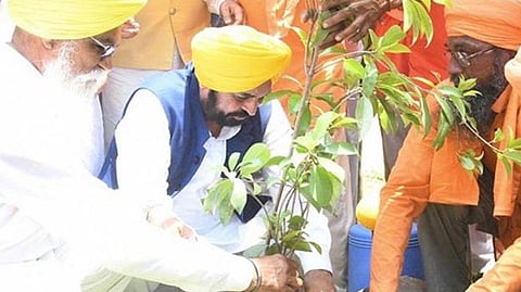 Punjab CM Mann promoting Green Punjab Mission