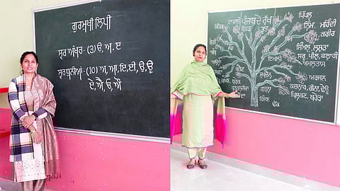 Teacher shows Punjab’s children’s future is safe under CM Mann
