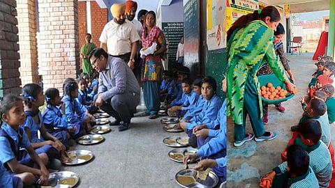 AAP establishing nutritious gardens in 5,073 government schools