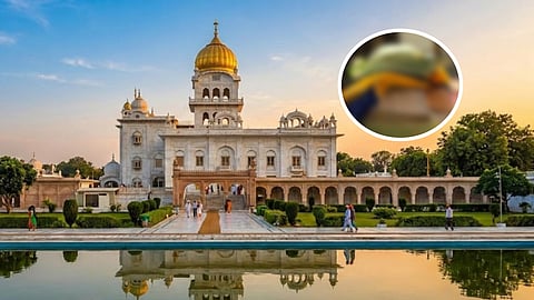 Sacrilege in Mahal village