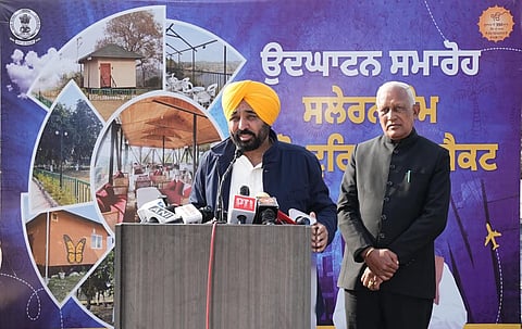 Road accident deaths in Punjab drop 48% after Sadak Surakhya Force: CM