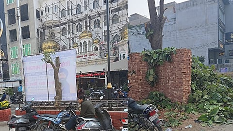 Complaint filed over illegal tree cutting in Jalandhar