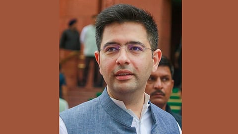Kejriwal's 'soldiers' hit back at Raghav Chadha